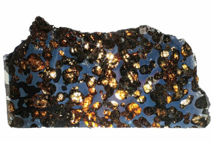 Polished Sericho Pallasite Meteorite ( g) Slice - Kenya #313712